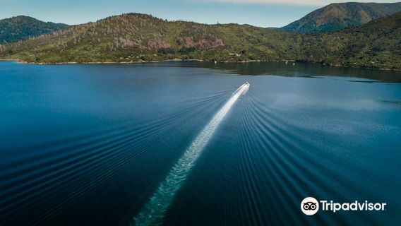 Cougar Line - Queen Charlotte Track Cruises