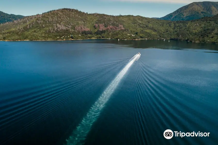 Cougar Line - Queen Charlotte Track Cruises