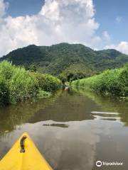 TouShe Basin