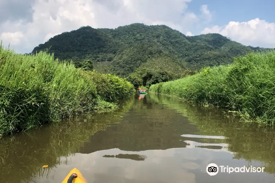 TouShe Basin