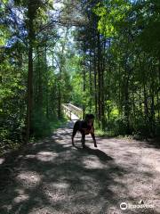 Bleasdell Boulder Conservation Area