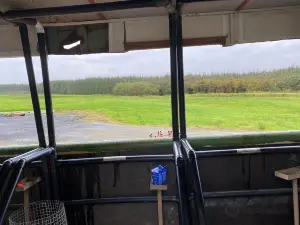 Irish shooting sports