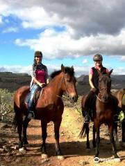 El Salobre Horse Riding