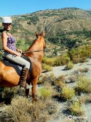 Pegasus Riding Centre