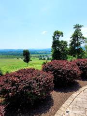 Hauser Estate Winery