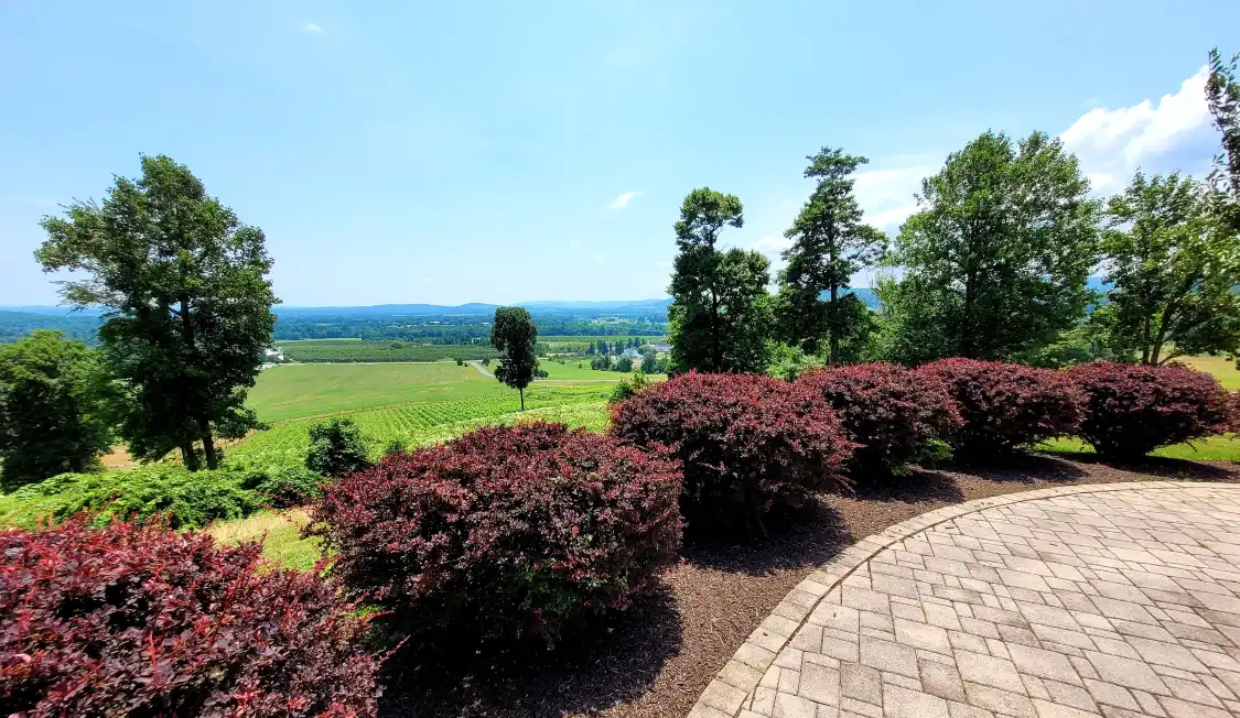 Hotels near Hauser Estate Winery