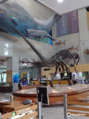 Seodaemun Museum of Natural History