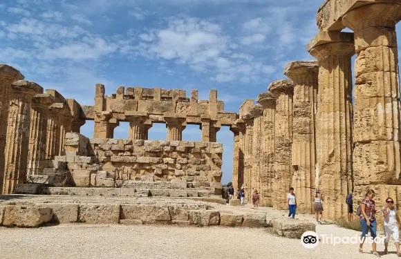 Selinunte Archaeological Park門票+往返接送成人