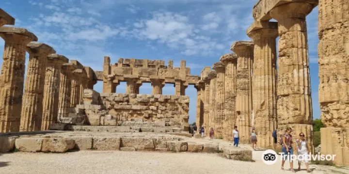 Selinunte Archaeological Park