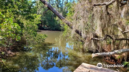 Oscar Scherer State Park