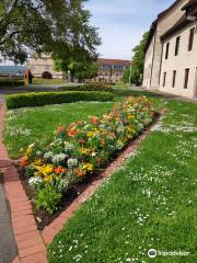 Musee du Chateau des Ducs de Wurtemberg