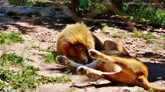 Zoo Fauverie du Faron