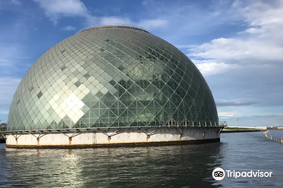 大阪南港釣魚場