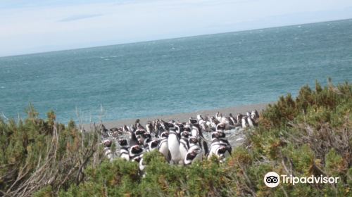 Cabo Vírgenes Cabo Virgenes