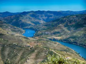 Miradouro de Sao Leonardo de Galafura