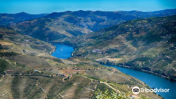 Miradouro de Sao Leonardo de Galafura