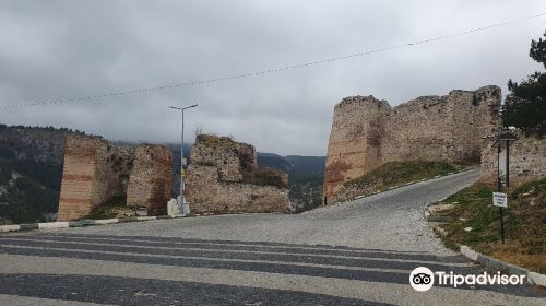 Kütahya Castle