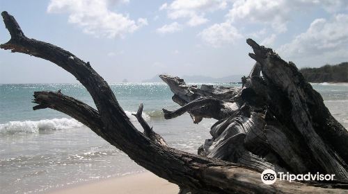 Grande Anse des Salines