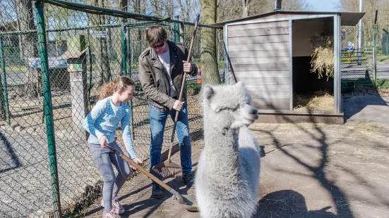 Dierenpark Zie-Zoo