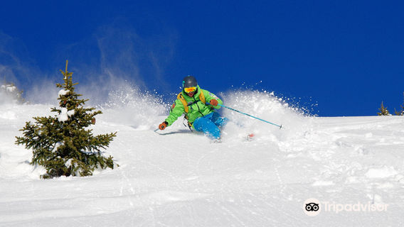 Verbier