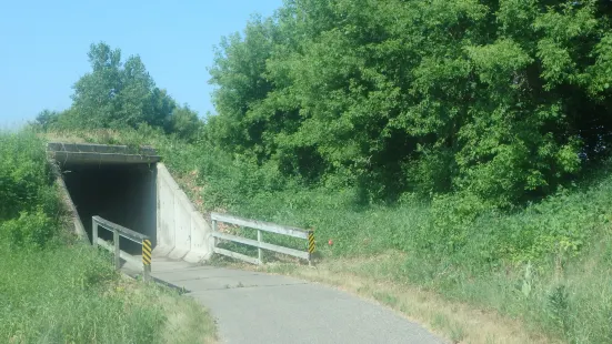 Shooting Star State Trail