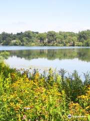 Lake Phalen