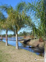 Termas Concepción