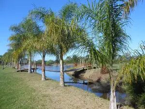 Termas Concepción