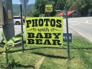 Cherokee Bear Zoo