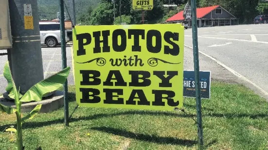 Cherokee Bear Zoo