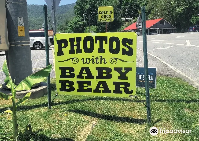 Cherokee Bear Zoo