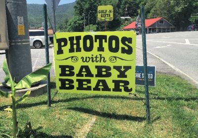 Cherokee Bear Zoo