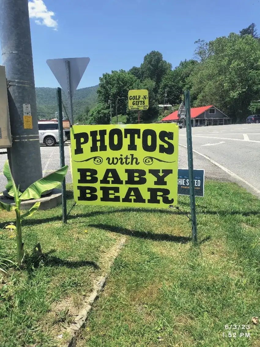 Hotels near Cherokee Bear Zoo