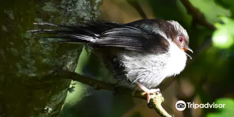Pagham Harbour Local Nature Reserve