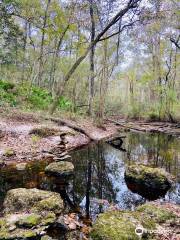 Falling Creek Falls