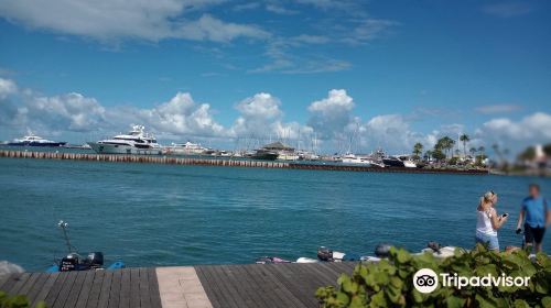 Marina Port Royal