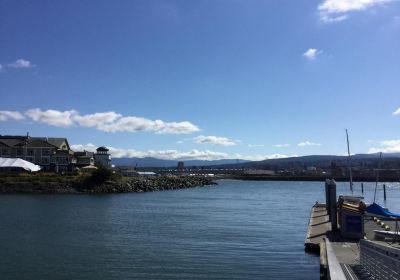 Zuanich Point Park