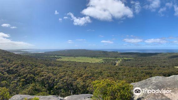 Monkey Rock