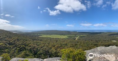 Monkey Rock