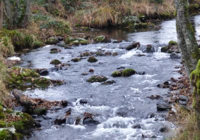 Cascade du Gour des Chevaux