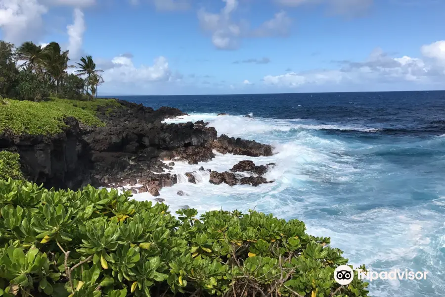 Isaac Hale Beach Park