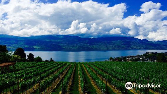 Quails' Gate Winery