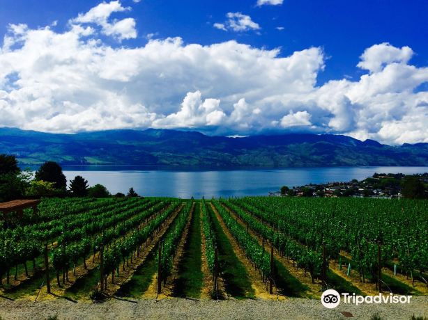 Quails' Gate Winery
