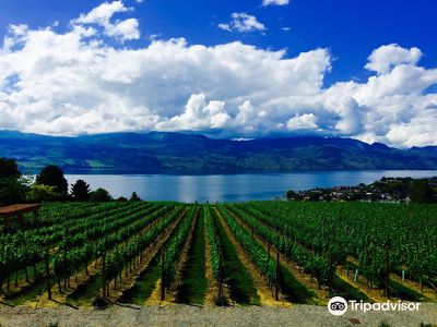 Quails' Gate Winery