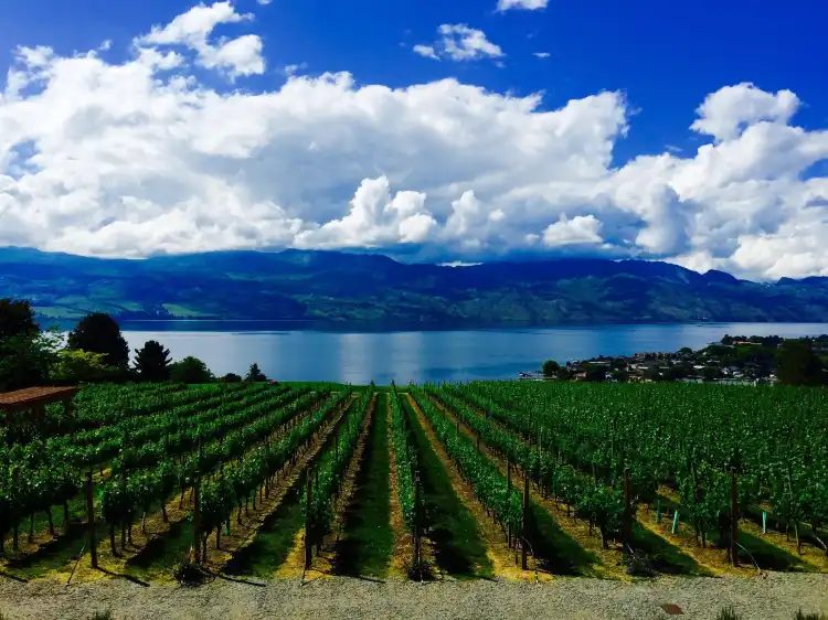 Central Okanagan H