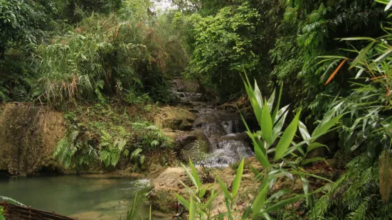 Kuang Si Falls Butterfly Park