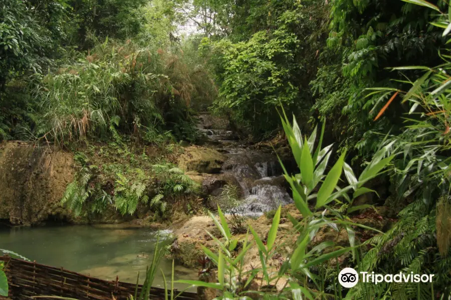 Kuang Si Falls Butterfly Park