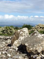 Creevykeel Court Tomb