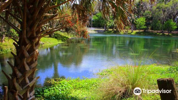 Gemini Springs Park