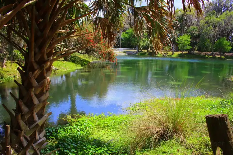 Hotels in DeBary